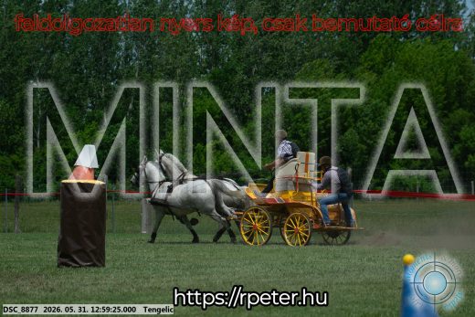 Mintakép 20260531-2702