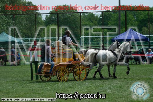Mintakép 20260531-2705