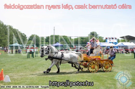 Mintakép 20260531-2707