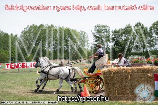 Mintakép 20260531-2708