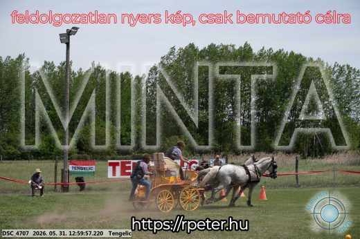 Mintakép 20260531-2711