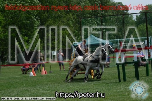Mintakép 20260531-2712