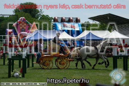 Mintakép 20260531-2714
