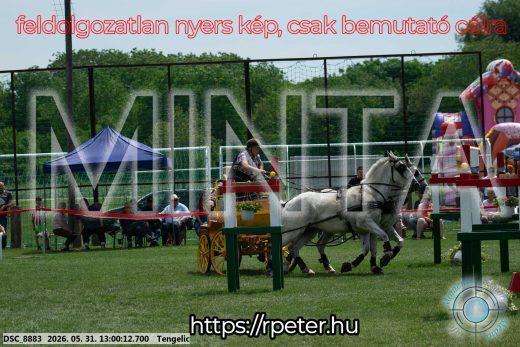 Mintakép 20260531-2716