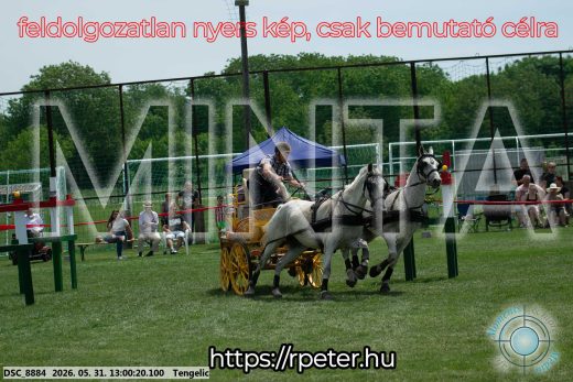 Mintakép 20260531-2717