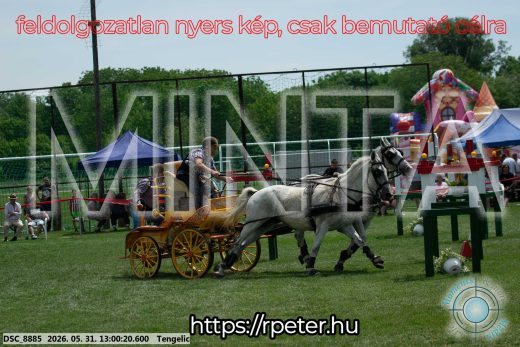 Mintakép 20260531-2718