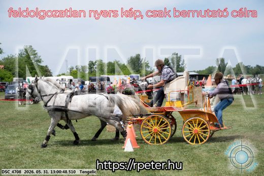 Mintakép 20260531-2720