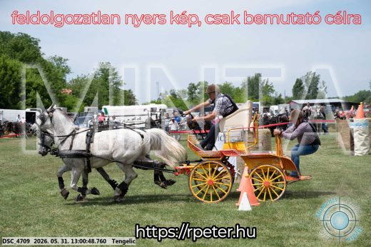 Mintakép 20260531-2721