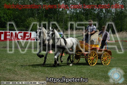 Mintakép 20260531-2723