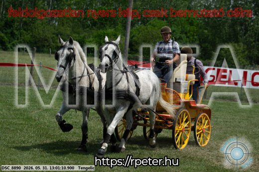 Mintakép 20260531-2724