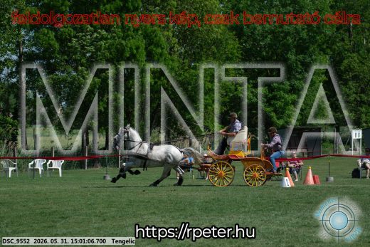 Mintakép 20260531-2726