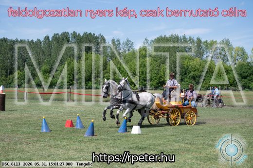 Mintakép 20260531-2728