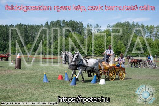 Mintakép 20260531-2729