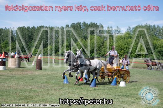 Mintakép 20260531-2730