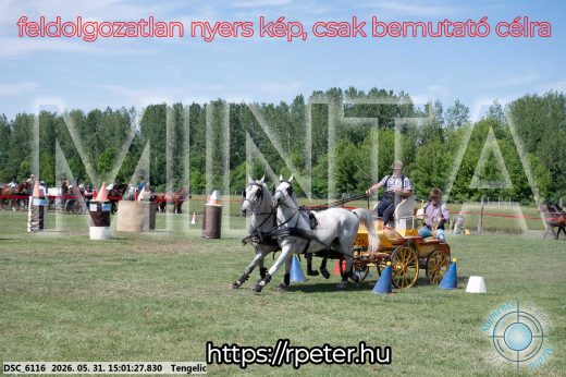 Mintakép 20260531-2731