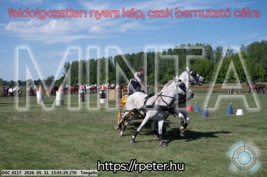 Mintakép 20260531-2732