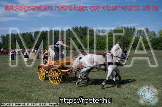 Mintakép 20260531-2733