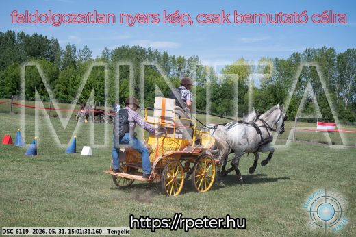 Mintakép 20260531-2734