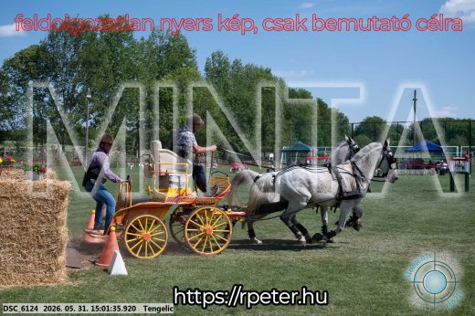 Mintakép 20260531-2735