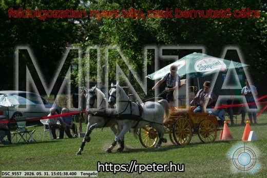 Mintakép 20260531-2738
