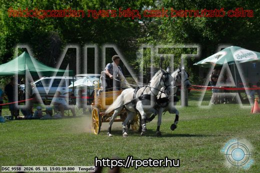 Mintakép 20260531-2739
