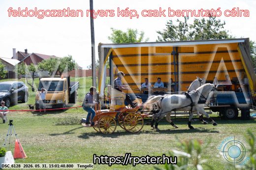 Mintakép 20260531-2741