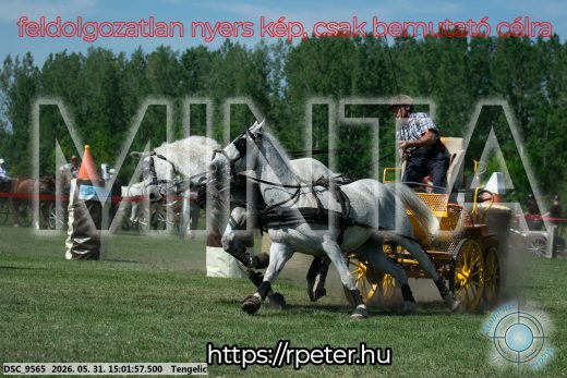 Mintakép 20260531-2743