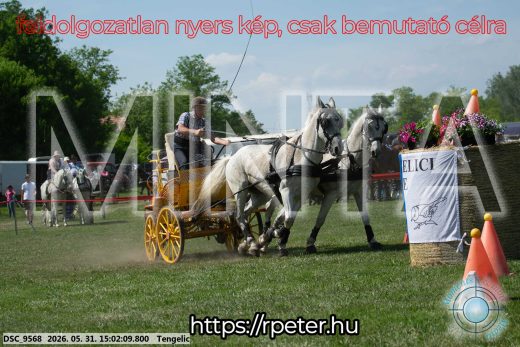 Mintakép 20260531-2744