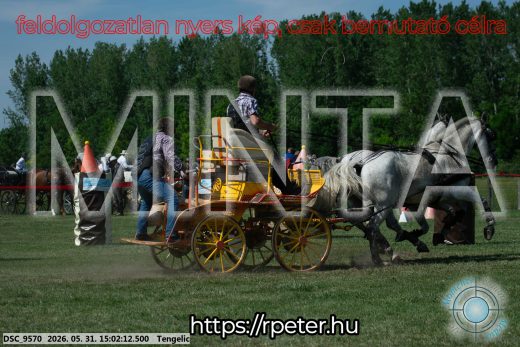 Mintakép 20260531-2745
