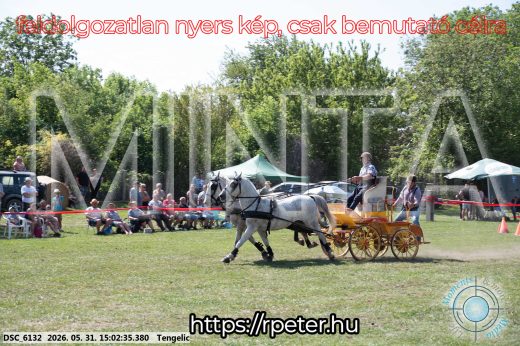 Mintakép 20260531-2750