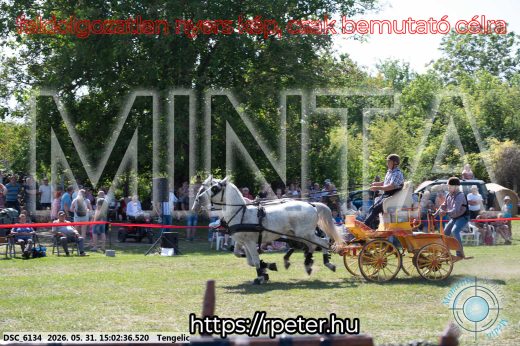 Mintakép 20260531-2752