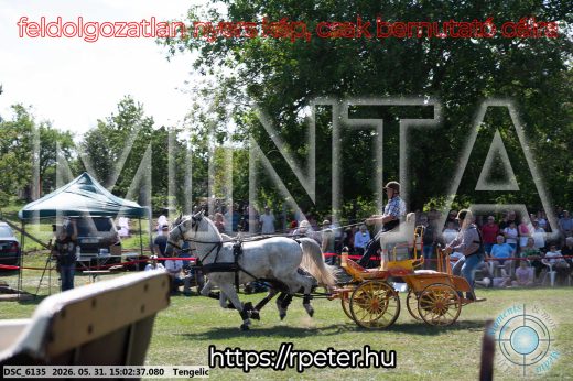 Mintakép 20260531-2753