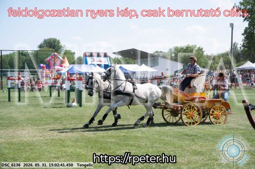Mintakép 20260531-2754