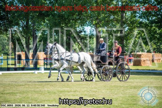 Mintakép 20260612-211