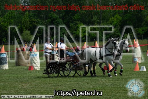 20260531-110533-DSC_7937.jpg