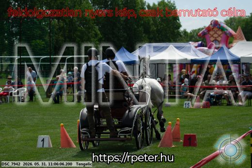 Mintakép 20260531-2767