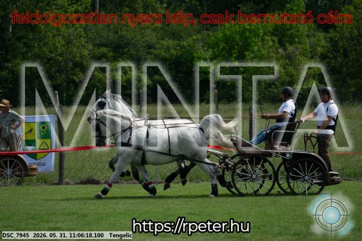 Mintakép 20260531-2769