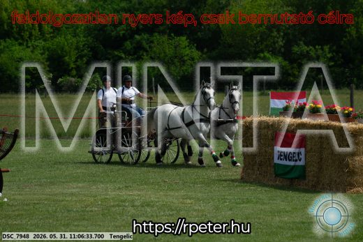 Mintakép 20260531-2771