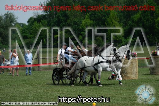 Mintakép 20260531-2779