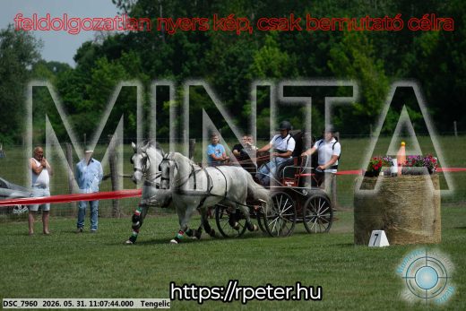 Mintakép 20260531-2780