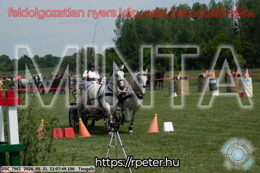 Mintakép 20260531-2781