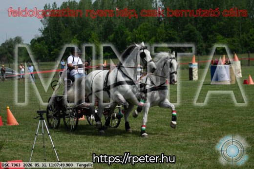 Mintakép 20260531-2783