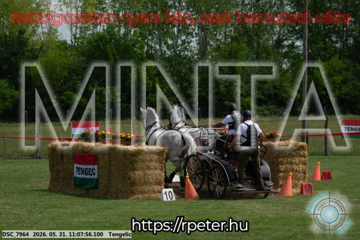 Mintakép 20260531-2784