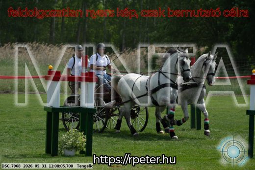 Mintakép 20260531-2786