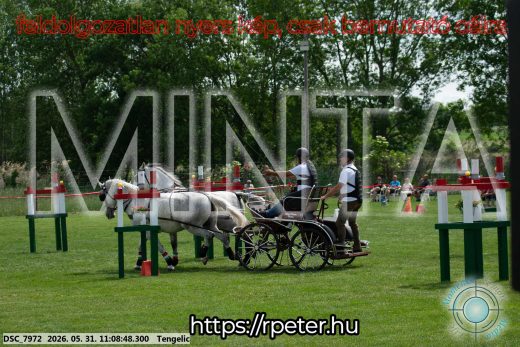 Mintakép 20260531-2789