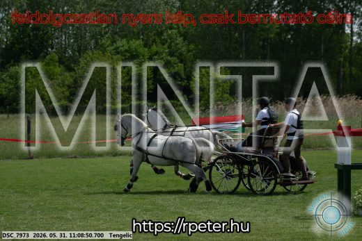 Mintakép 20260531-2790
