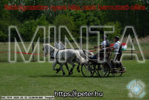 Mintakép 20260531-2791