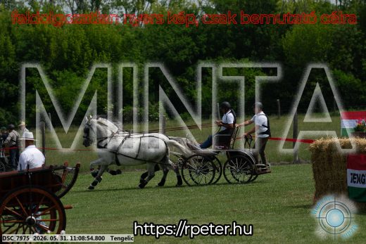 Mintakép 20260531-2792