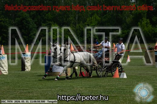 Mintakép 20260531-2793