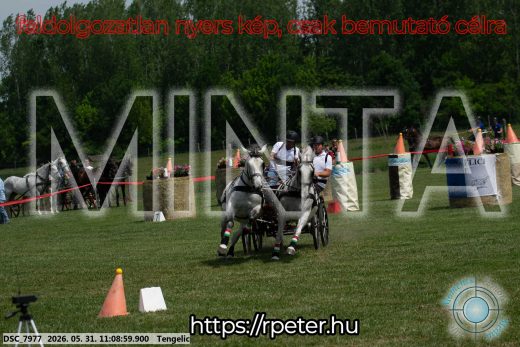 Mintakép 20260531-2794